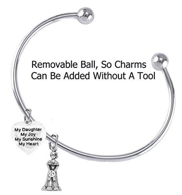 The Perfect Gift Quinceanera Hypoallergenic Adjustable Removable Ball Ends, Bracelet - Safe