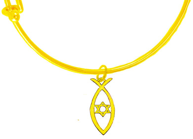 Messianic, Christian, 14KT Goldtone Christian Fish With A Star Of David Inside On A Adjustable 14KT Goldtone Miracle Wire Bracelet, Will Fit Everyone, Gift Ready, Comes In A Black Velvet Bag.