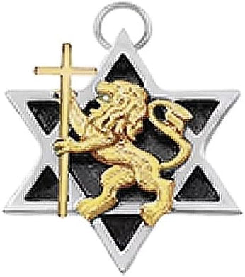 Messianic, Yeshua, Lion Of Judah Holding 14KT Goldtone Cross In A Silvertone Star Of David, What A Wonderful Gift For Yourself, Or Someone Special, Hypoallergenic-Safe, No Nickel, Lead, or Cadmium In The Metal. Cardinali®Jewelry ©2024