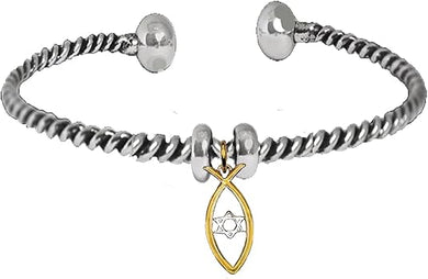 Messianic Christian Fish In 1KT Goldtone, Silvertone Star Of David, Adjustable Bracelet, If you do not believe that this jewelry is beautiful when you receive it, simply return it for a full refund, Large, Silver, Carnelian