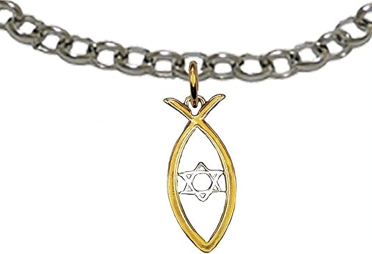 Messianic Christian Fish In 14KT Goldtone, Silvertone Star Of David, Adjustable Bracelet. If you do not believe that this jewelry is beautiful when you receive it, simply return it for a full refund., Large, Silver, Carnelian