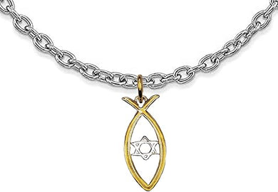 Messianic Christian Fish In 14KT Goldtone, Silvertone Star Of David, Cable Chain Necklace. If you do not believe that this jewelry is beautiful when you receive it, return it for a ful refund, Large, Silver, Carnelian