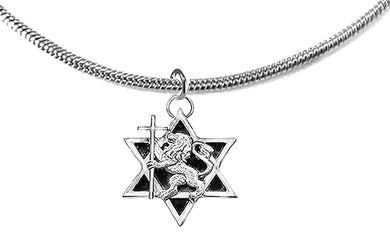 Messianic, Yeshua, Lion Of Judah Holding Cross, Silvertone, On Star Of David On A Adjustable Snake Chain Necklace, What A Great Gift For Yourself, A Friend, Or Family Member. Hypoallergenic, No Nickel