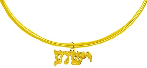 Messianic, New Exciting Style, Yeshua (Jesus in Hebrew) Named by an Angel of God, Adjustable 14KT Goldtone Choker Necklace, What A Wonderful Gift For Yourself, Or Someone Special
