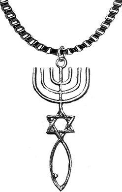 Messianic Christian 2 Inch Long Seal Of Jerusalem On A 18-21 Inch Black Anodised Adjustable Box Chain Necklace,Hypoallergenic Safe, No Nickel, Lead Or Cadmiun In The Metal ©2023, Large, Silver, Carnelian