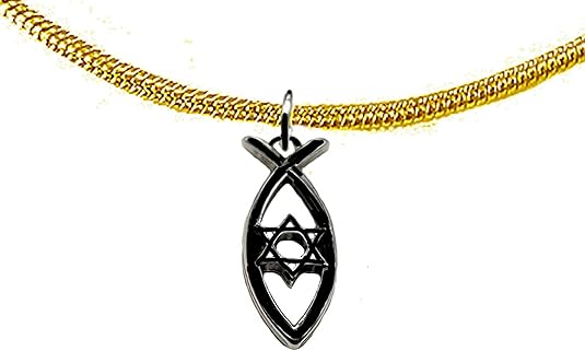 Messianic Christian Fish,Star Of David In Black Anodized Finish On A 14KT Goldtone Snake Chain Necklace. If you do not believe that this jewelry is beautiful when you receive it, simply return it., Large, Silver, Carnelian