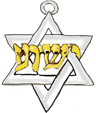 Messianic Silvertone Finish , Star Of David With 14KT Goldtone Yeshua In Hebrew Charm Overlayed. Hypoallergenic-Safe, No Nickel, Lead, Or Cadmium In The Metal. With Jump Ring. Charm Size 7/8 X 7/8 Inch