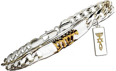 Messianic Christian 14KT Goldtone Raised Yeshua, Raised Seal Of Jerusalem Charm Bracelet. If you do not believe that this jewelry is beautiful when you receive it, simply return it for a full refund., Large, Silver, Carnelian