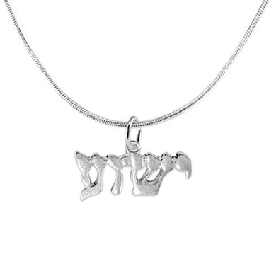 Yeshua (Jesus in Hebrew) Named by An Angel of God, ©2015 Adjustable Necklace, Nickel & Lead Free!