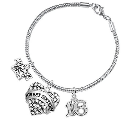 The Perfect Gift Sweet Sixteen Hypoallergenic 